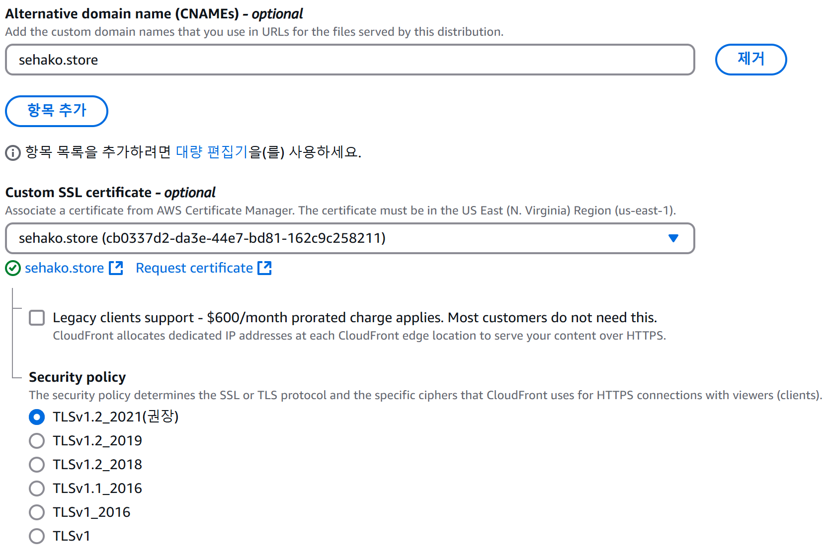 대체 도메인 설정